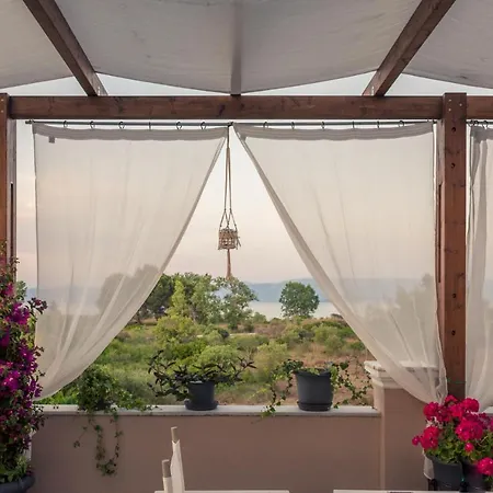 酒店 埃罗菲里酒店 3*