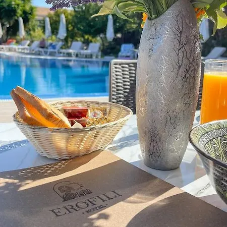 酒店 埃罗菲里酒店