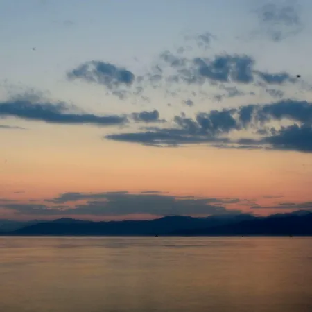 埃罗菲里酒店 酒店