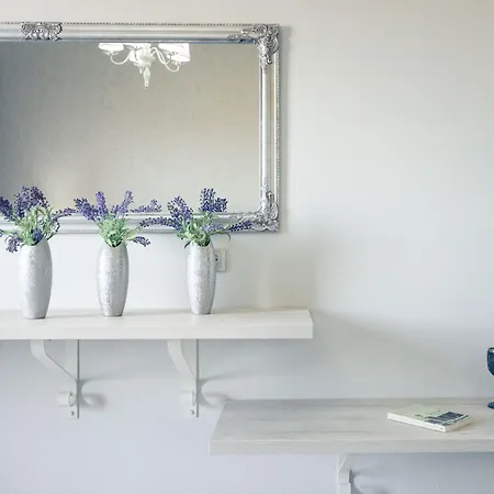 埃罗菲里酒店 酒店 3*