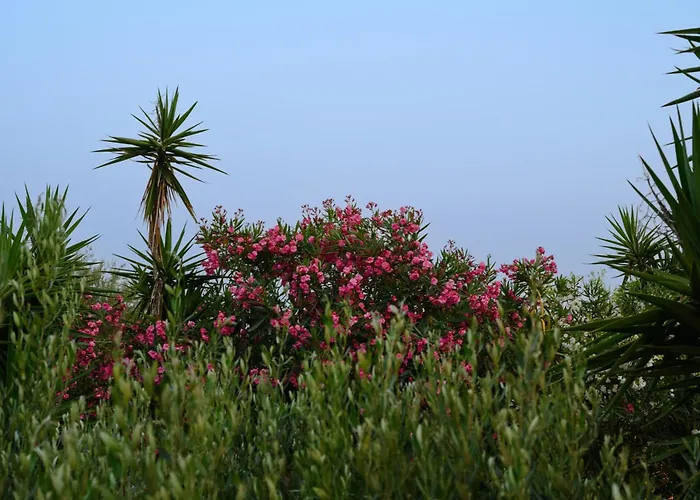 Hotel Erofili Kávos